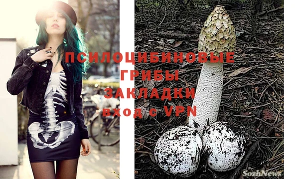 мдпв Абинск