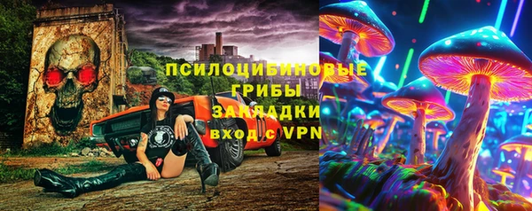 мдпв Абинск
